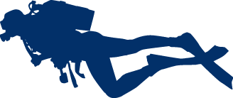 ng体育官方网站