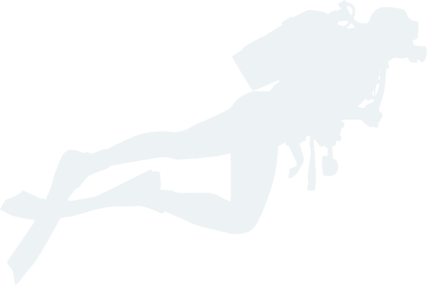 ng体育官方网站