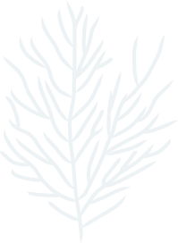 ng体育官方网站