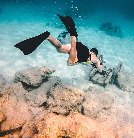 ng体育官方网站