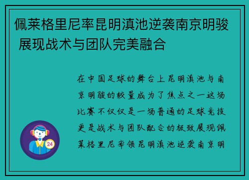 佩莱格里尼率昆明滇池逆袭南京明骏 展现战术与团队完美融合