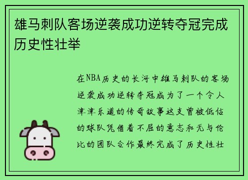 雄马刺队客场逆袭成功逆转夺冠完成历史性壮举